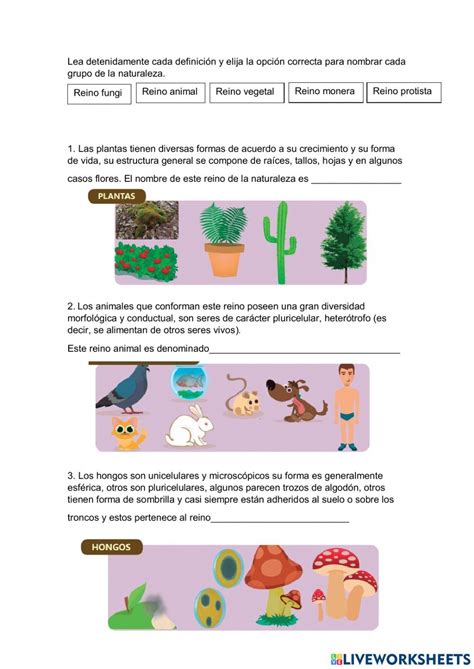 Ejercicio De Cinco Reinos De La Naturaleza Ciencias De La Naturaleza Cuadernos Interactivos