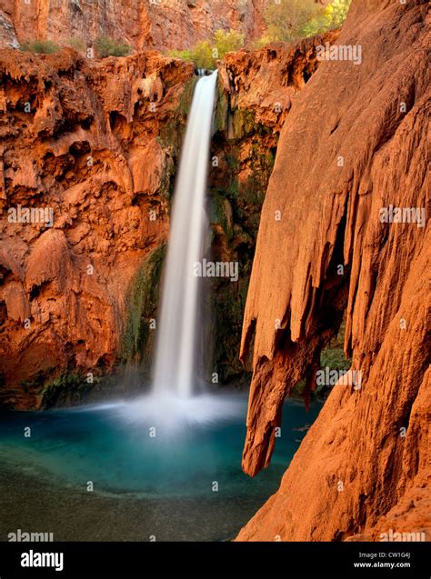 Mooney Falls Es El M S Alto De Nuestras Cascadas Ruedan Sobre En