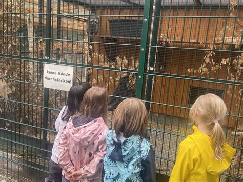 Ausflug Zum Tierpark Eickel Lebenshilfe Herne Wanne Eickel E V