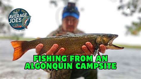 Algonquin Park Trout Fishing Brook Trout Fishing From Shore Youtube