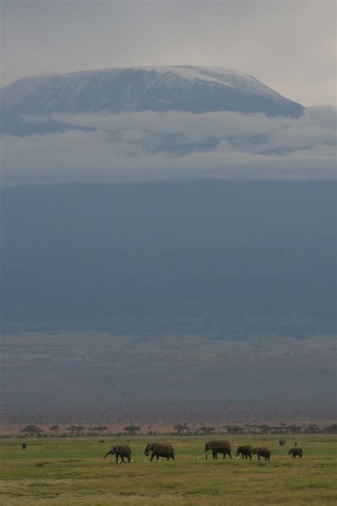 100+ Free Kilimanjaro & Mount Kilimanjaro Images - Pixabay