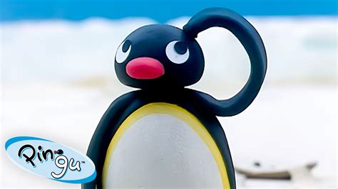 Pingu Learns His Lesson 🐧 Pingu Official Channel Cartoons For