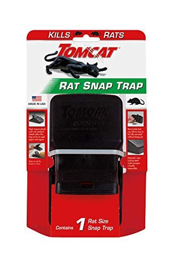 7 Best Outdoor Rat Traps 2022 + How To Use Them & FAQs