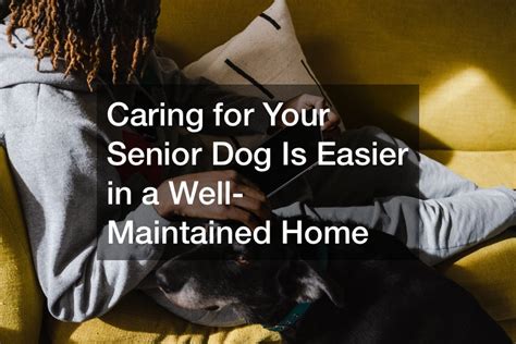 Caring For Your Senior Dog Is Easier In A Well Maintained Home Dog