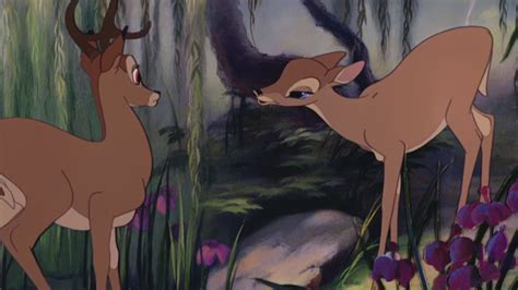 Bambi Bambi Finds Faline Hd Youtube