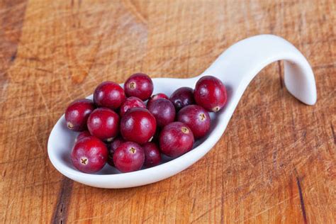 Wie Isst Man Frische Cranberries Foodfakten