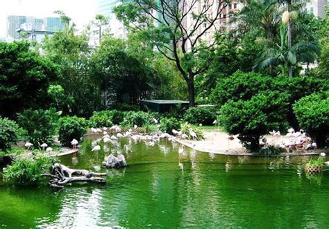 Kowloon Park Hong Kong