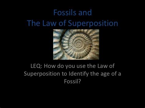 Day 7 superposition fossils