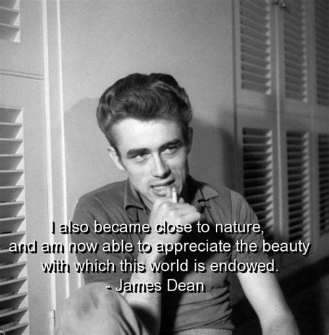 James Dean Famous Quotes. QuotesGram