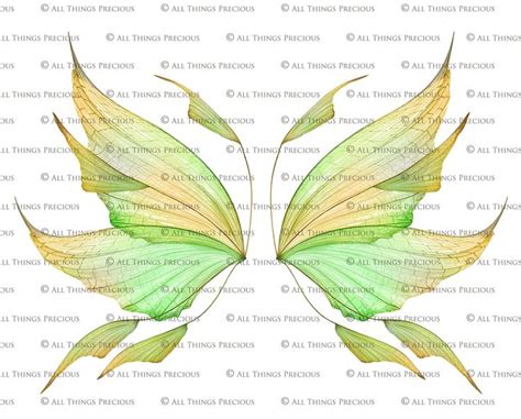 20 Png FAIRY WING Overlays Set 25 Graphic Design Assets Overlays