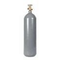 Stainless Steel Carbon Dioxide Gas Cylinder At Rs 1000 Cylinder