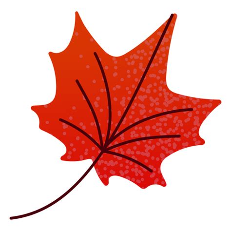 Maple Leaves Png