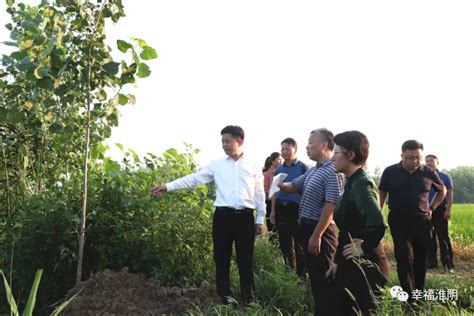 淮安市生态环境局 一把手抓环保丨淮阴区区长陈张现场调研推进赵公河水质提升工作