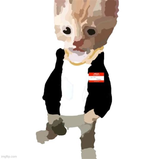 Eminem Cat Imgflip