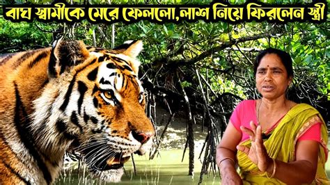 বাঘ স্বামীকে থাবা দিয়ে জলে ফেলে দিলো Sundarban Tiger Jumped On The