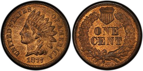 Images Of Indian Cent 1877 1c Rb Pcgs Coinfacts