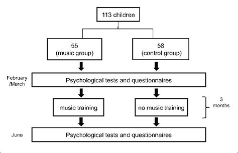 Trial Profile Showing The Different Phases Of The Experiment