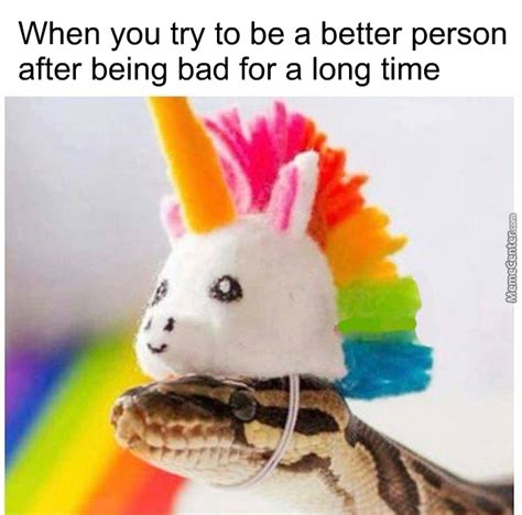 The best snek memes :) Memedroid