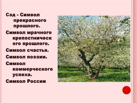 Вишневый сад - презентация онлайн