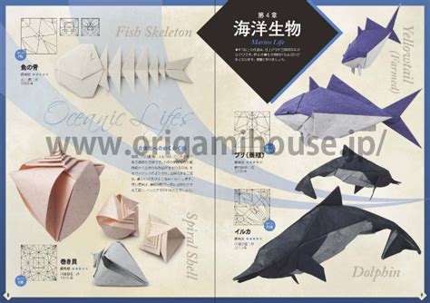 Yamaguchi Makoto S Book Tansei Na Origami The Beauty Of Origami