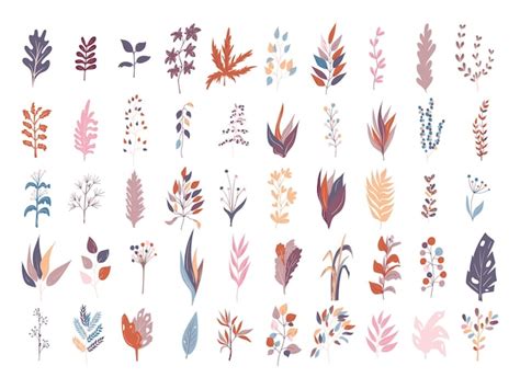 Premium Vector Set Of Leaf Icons In Doodle Style