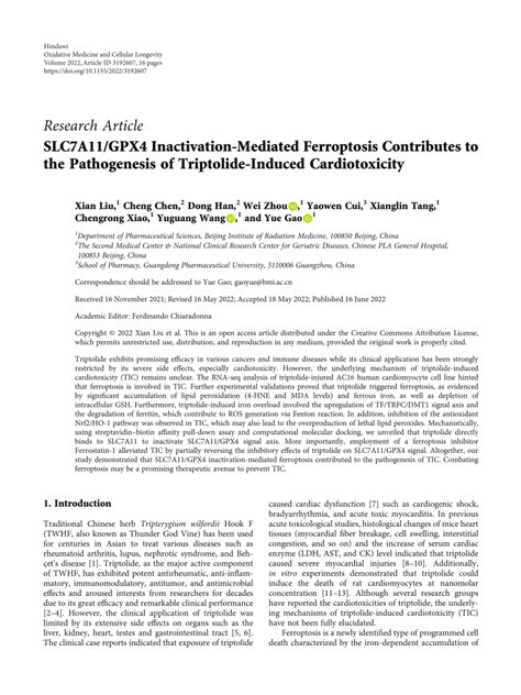 Pdf Slc A Gpx Inactivation Mediated Ferroptosis Contributes To The