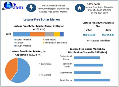 Lactose Free Butter Market Industry Analysis And Forecast