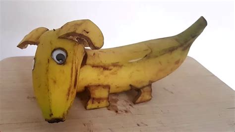 Bananen Tiere Der Hund Youtube