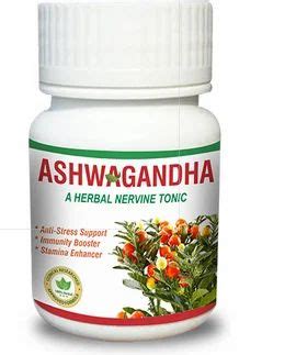 Ashwagandha At Rs 280 Kg Ashwagandha Roots In Patiala ID 19768613212