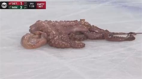 Detroit Red Wings Fan Throws An Octopus Onto The Ice YouTube