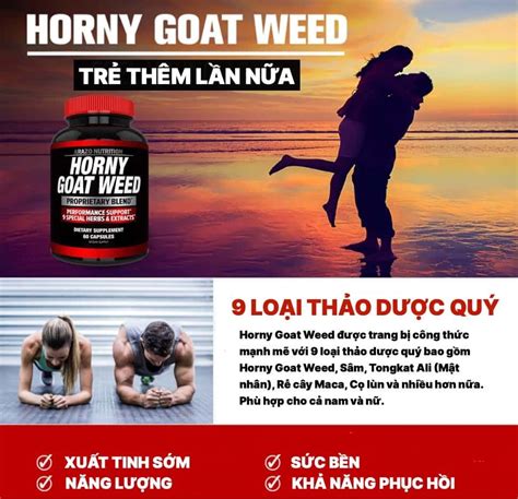 Vi N U Ng T Ng C Ng Horny Goat Weed Ch Nh Em