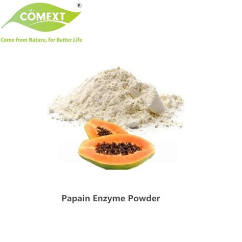 Comext Food Grade Free Sample Papaya Enzyme Powder Papain Cas