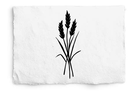 Wheat Silhouette Svg Wheat Design Gr Fico Por Gaborstudiodesign