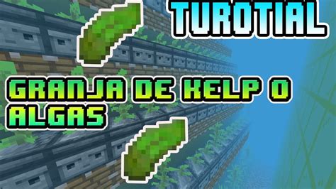 Minecraft Bedrock Como Hacer Una Granja De Algas O Kelp Win10 Ps4