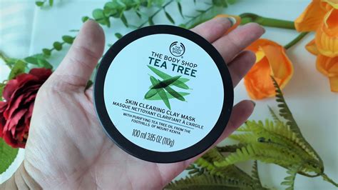 The Body Shop Tea Tree Skin Clearing Clay Mask Review Glossnglitters