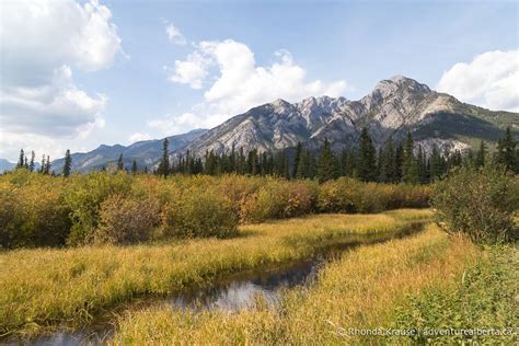 Horseback Riding in Banff- What to Expect on a Guided Banff Trail Ride