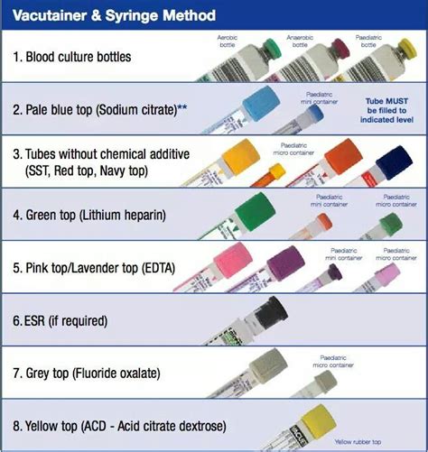 Blood Cultures Order Of Draw