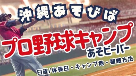 【2025年版】沖縄プロ野球キャンプ完全ガイド！球場・日程・観戦方法を徹底解説