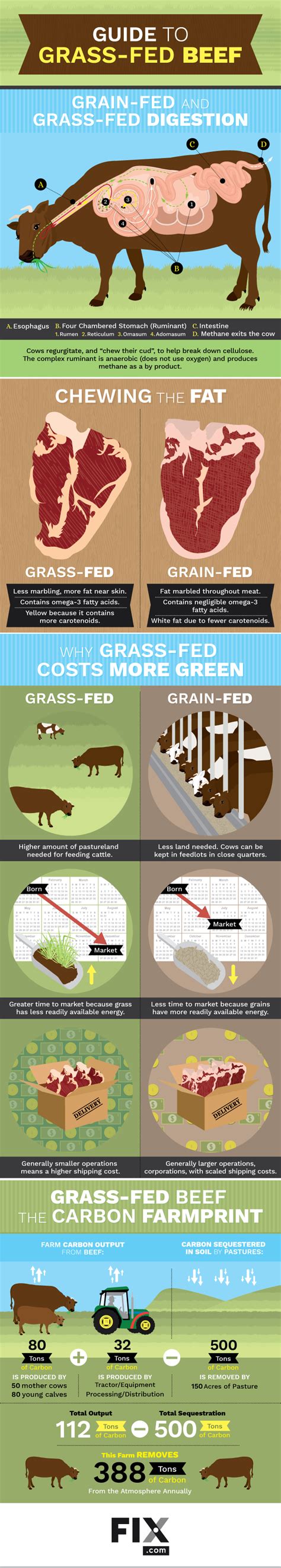 A Guide To Grass Fed Beef