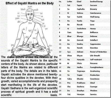 The health benefits of surya namaskar – Artofit