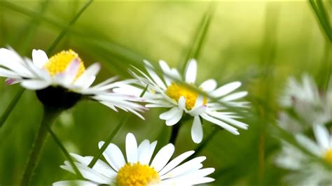 Поехали со мной в Счастливый город!!!!! - YouTube