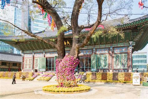 Jogyesa Temple in Seoul, South Korea | Busanpedia