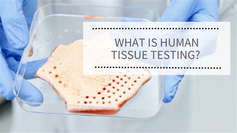 What Is Human Tissue Testing What In The Life Sciences Podcast Youtube