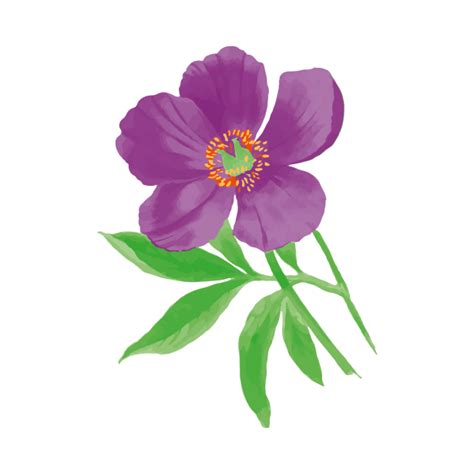 Anemone Flower Watercolor Clipart Free Stock Photo Public Domain Pictures