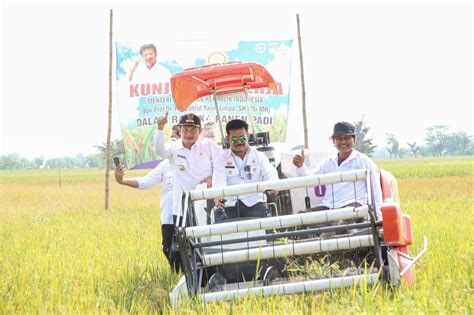 Infopublik Kuatkan Ketahanan Pangan Lamongan Sediakan Ribu Ha