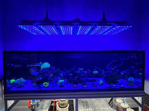 Atlantik ICon Reef Aquarium LED Lighting Orphek