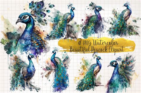 Beautiful Peacock Watercolor Clipart Graphic By Watercolorarch · Creative Fabrica