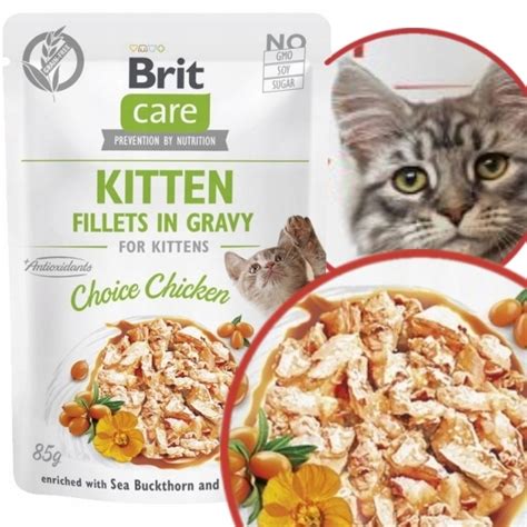 Brit Care Cat Mokra Karma Dla Koci T Kitten Kurczak W Sosie Saszetka