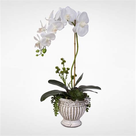 Our Best Decorative Accessories Deals Silk Orchids Silk Orchids