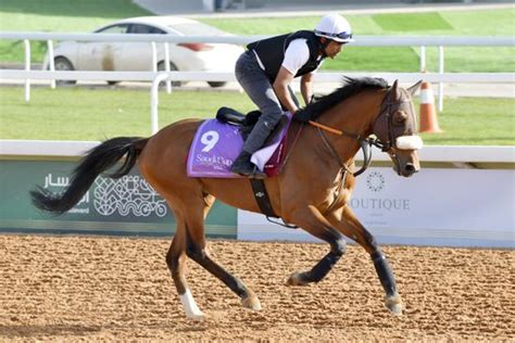 Riyadh Salwa Morning Trackwork King Abdulaziz Editorial Stock Photo